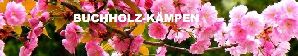 Header-Bild